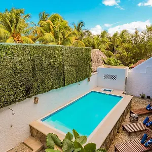 https://hotel-boutique-casa-baleine.quintano-roohotels.com