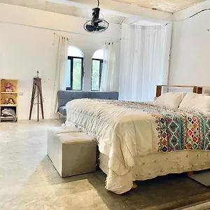 https://iguana-hostel.quintano-roohotels.com